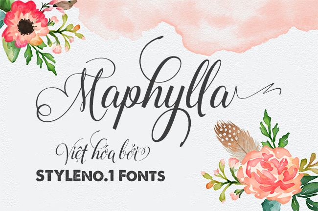 maphylla 1