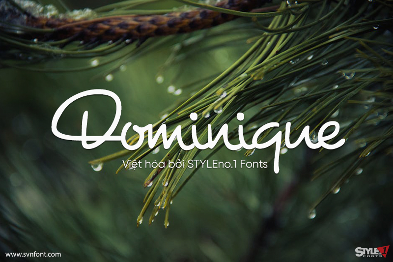 dominique1