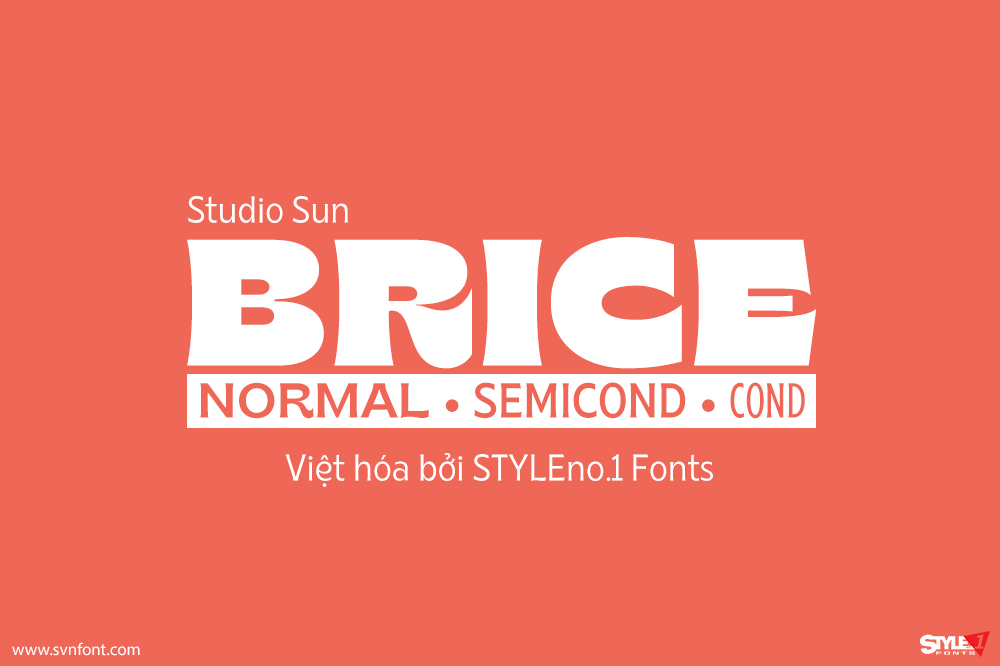 brice1