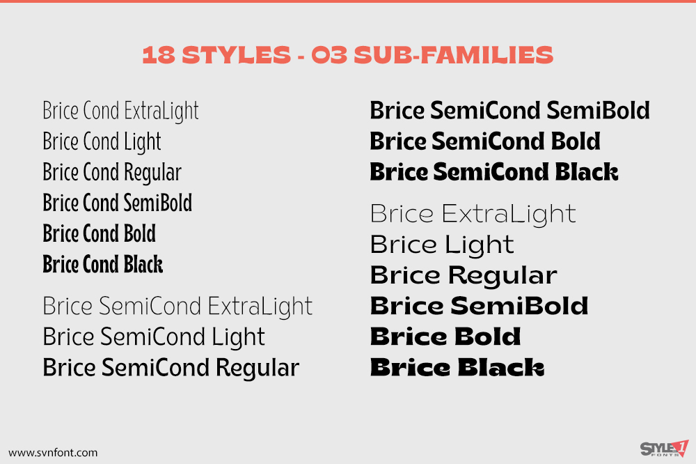 brice3