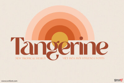 [Miễn phí] SVN-Tangerine - Việt hóa