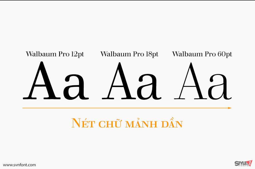 walbaum03