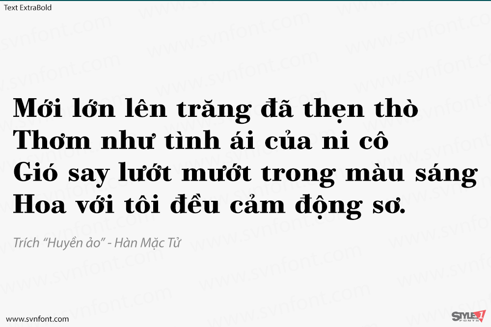 bodoni11