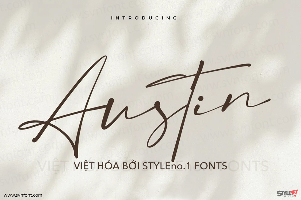 austin01