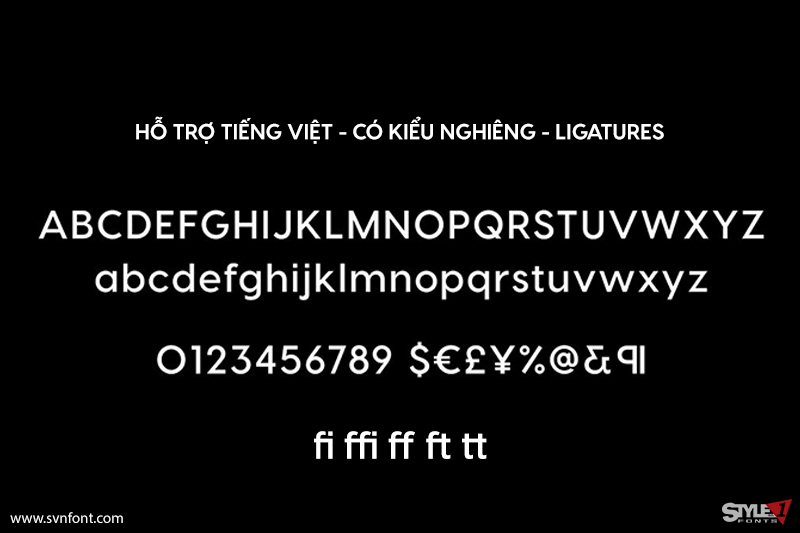 vi02