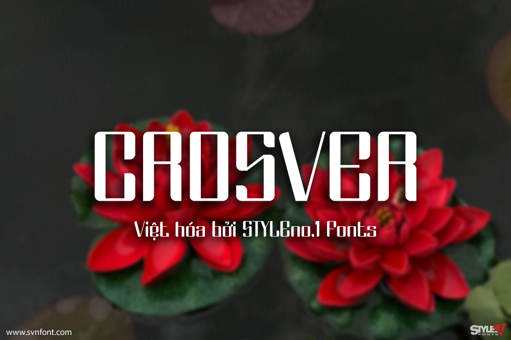crosver01