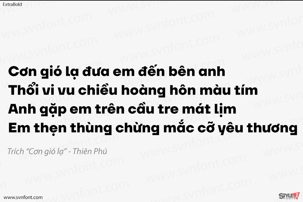 ttfirsneue10