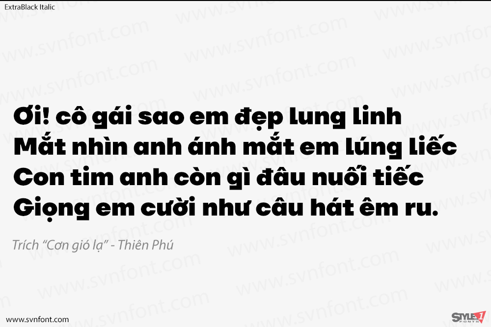 ttfirsneue12