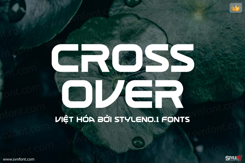 crossover01