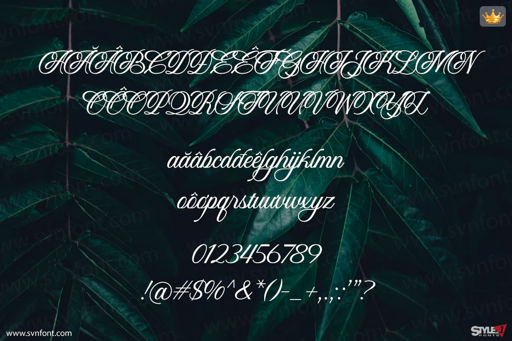 lunafisca02