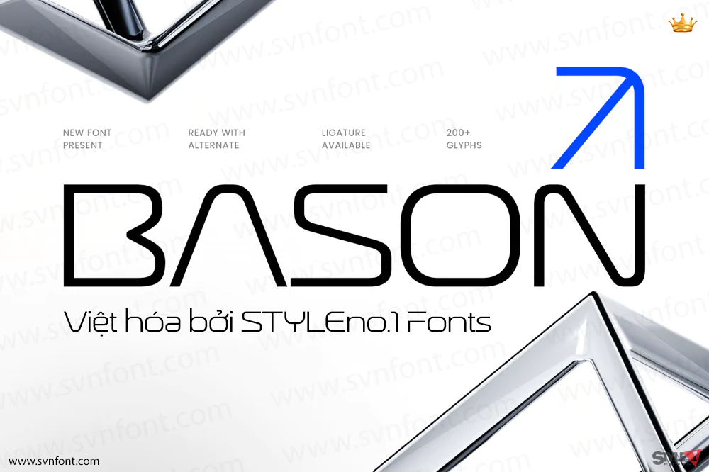 bason01