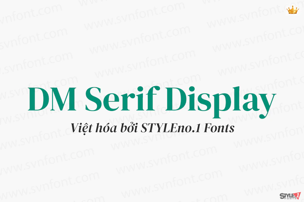 dmserifdisplay01