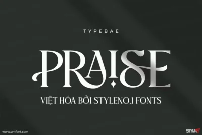 [Trả phí] SVN-Praise - Việt hóa