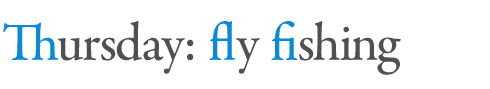 Ligatures